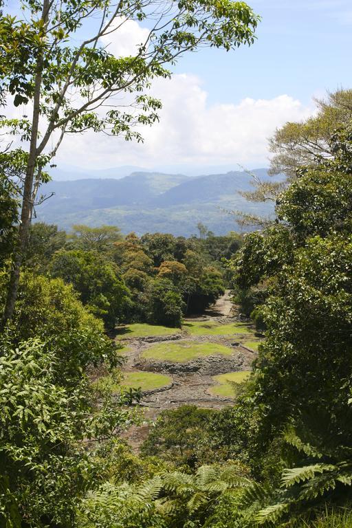 Turrialba Bed & Breakfast Экстерьер фото