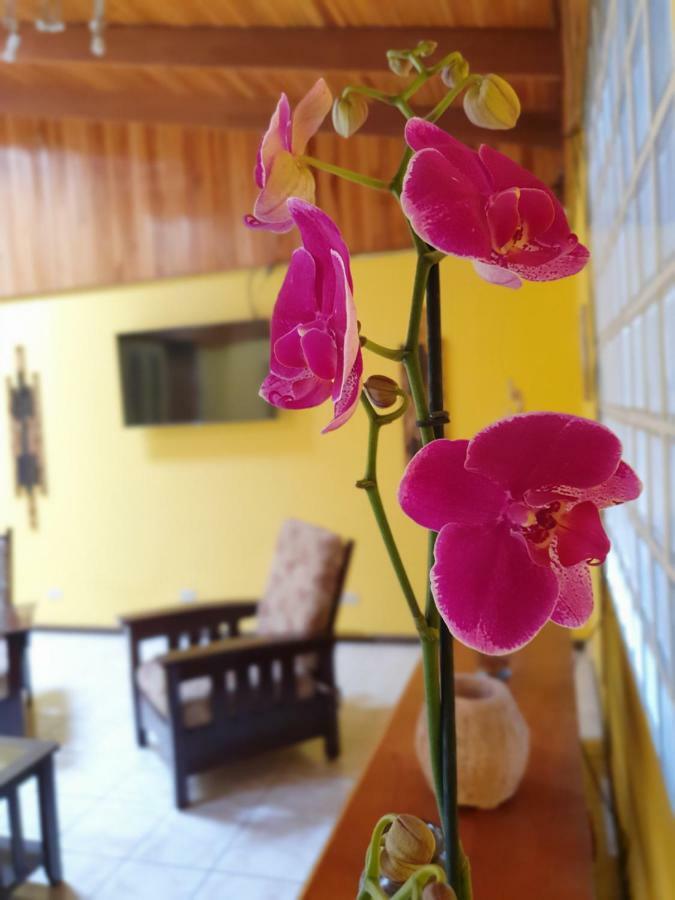 Turrialba Bed & Breakfast Экстерьер фото