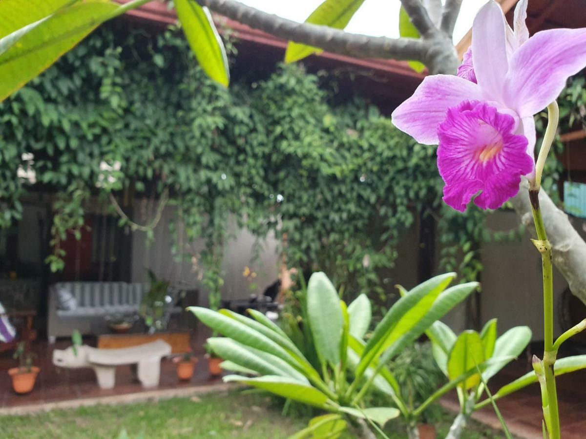 Turrialba Bed & Breakfast Экстерьер фото