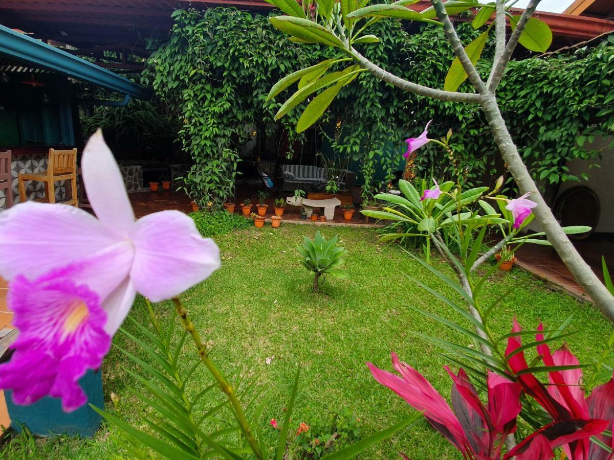 Turrialba Bed & Breakfast Экстерьер фото